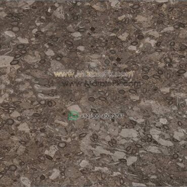 Fossil Beige Granite Design Stairs & Kitchen Countertops in Lahore