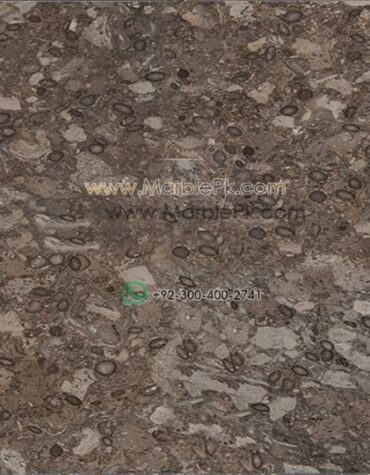 Fossil Beige Granite Design Stairs & Kitchen Countertops in Lahore