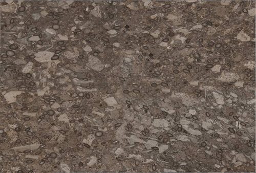 Fossil Beige Granite Design Stairs & Kitchen Countertops in Lahore