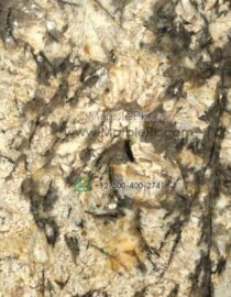 Golden Persa Or Persian Gold Granite Design Stairs & Kitchen Countertops in Lahore