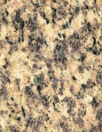 Tiger Skin Yellow Granite Design Stairs & Kitchen Countertops in Lahore
